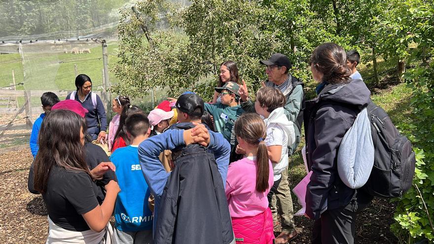 Alumnes de l'escola Alfons I de Puigcerdà i de la de Bourg-madame, visitant una finca de fruiters a Prullans (Cerdanya)