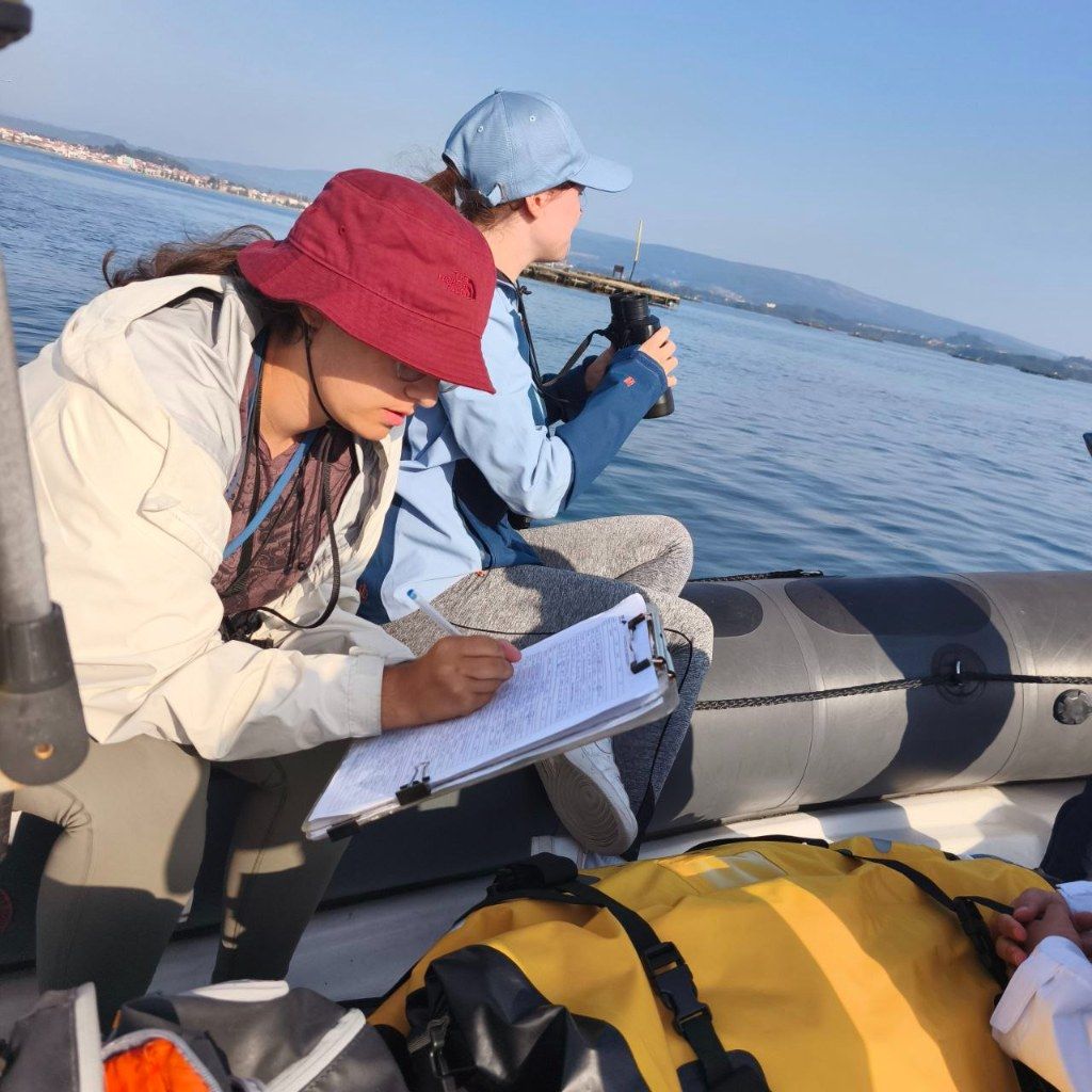 Biólogos, doctores y estudiantes del BDRI hacen un estrecho seguimiento de los mamíferos marinos en las rías de Vigo, Pontevedra y Arousa.