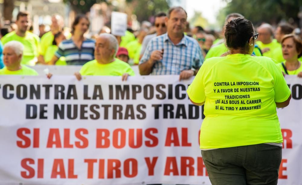 Protesta a favor de los bous en Paiporta