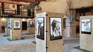 Degustación de paquitos de cordero, talleres de lana y experiencias inmersivas la presentación itinerante de Interovic en la feria Fromago de Zamora