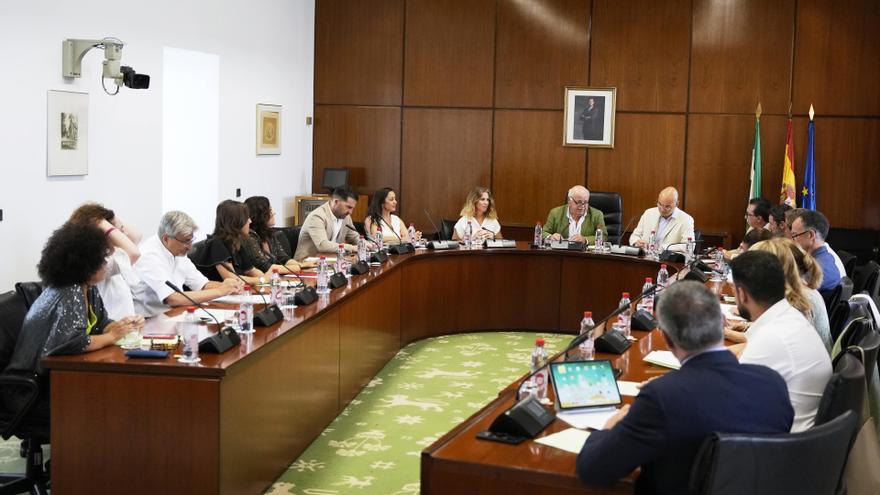 El Parlamento andaluz debatirá las medidas contra la violencia machista