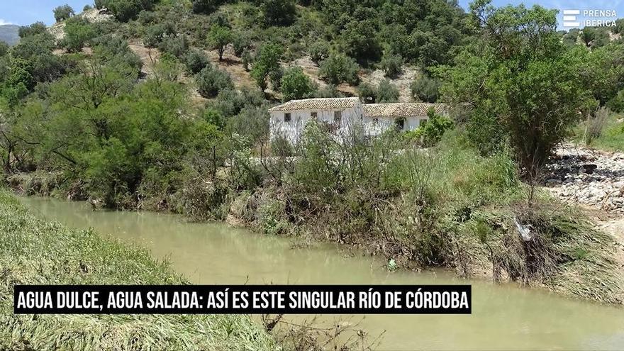 El río más singular de la provincia de Córdoba