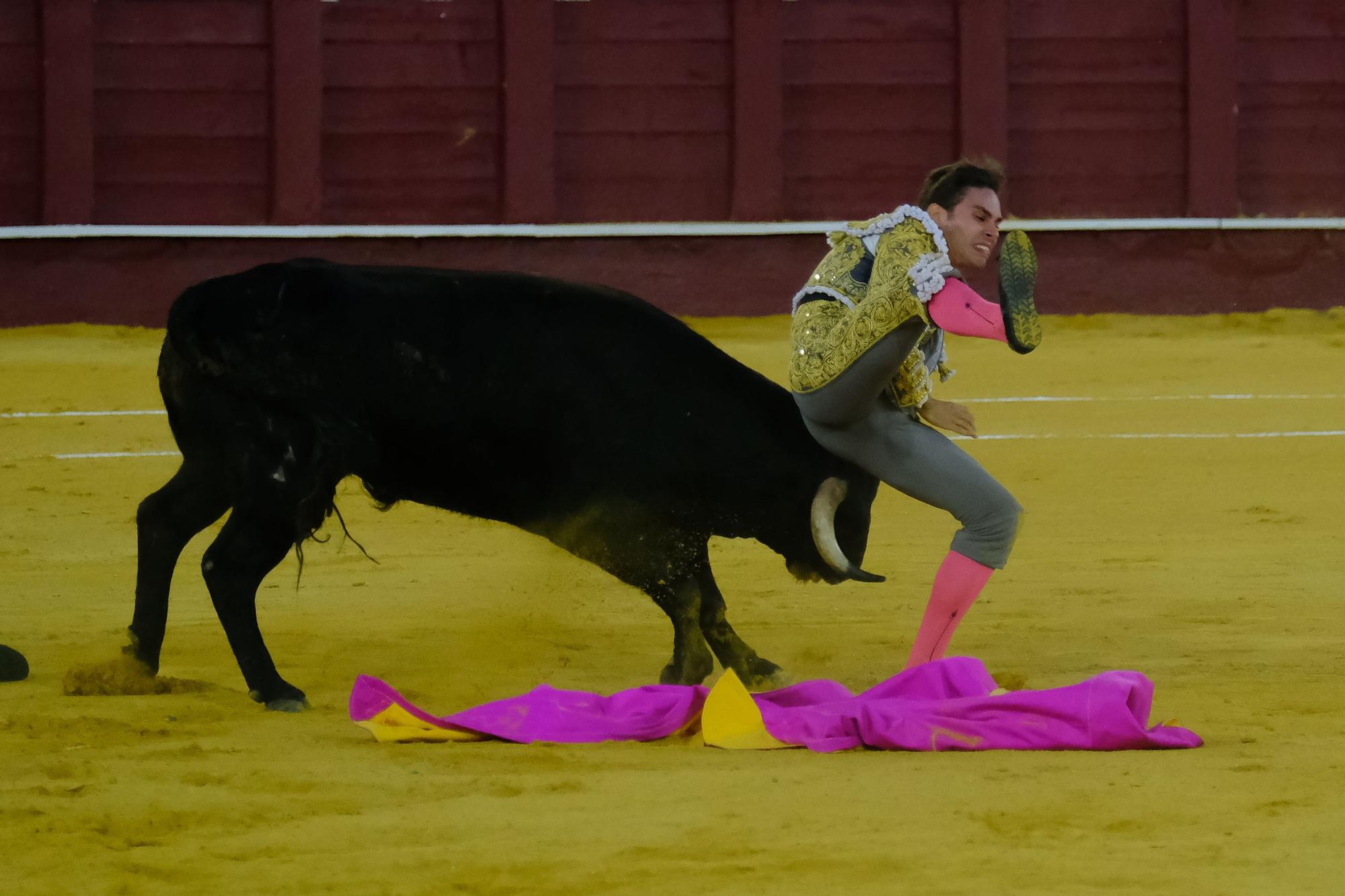 Toros en la Feria I Octava corrida de abono en la Malagueta:  2ª Semifinal de las Escuelas Taurinas