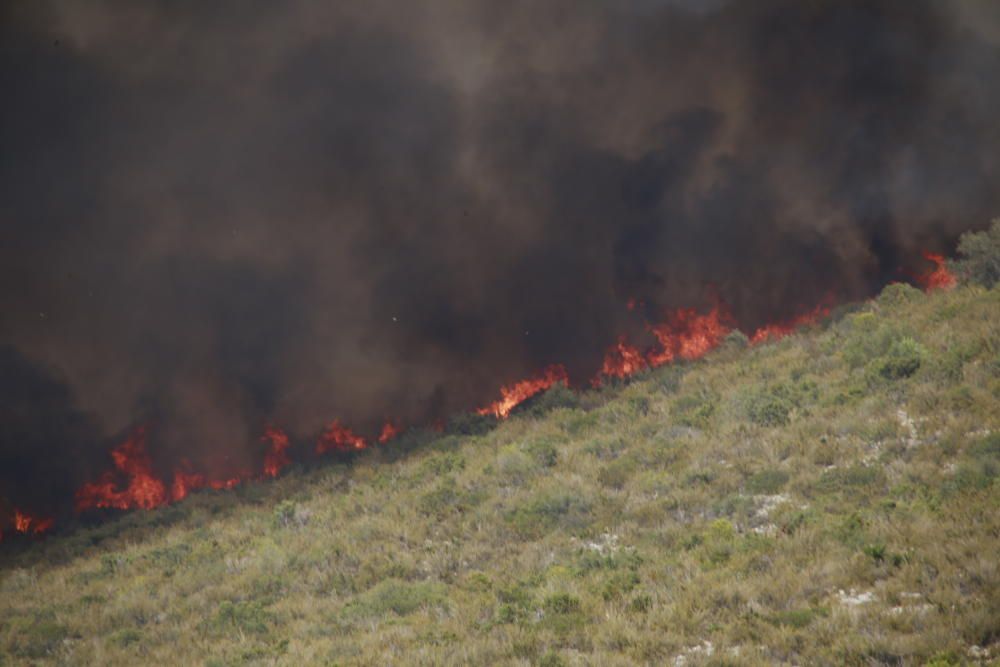 Incendio forestal en Llutxent