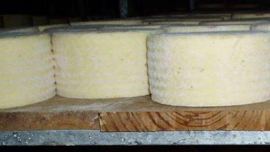 Maduración del producto de la DO Queso Zamorano.