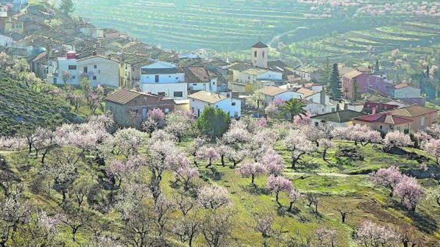 LA CABECERA DE LA VALL 
DE SETA