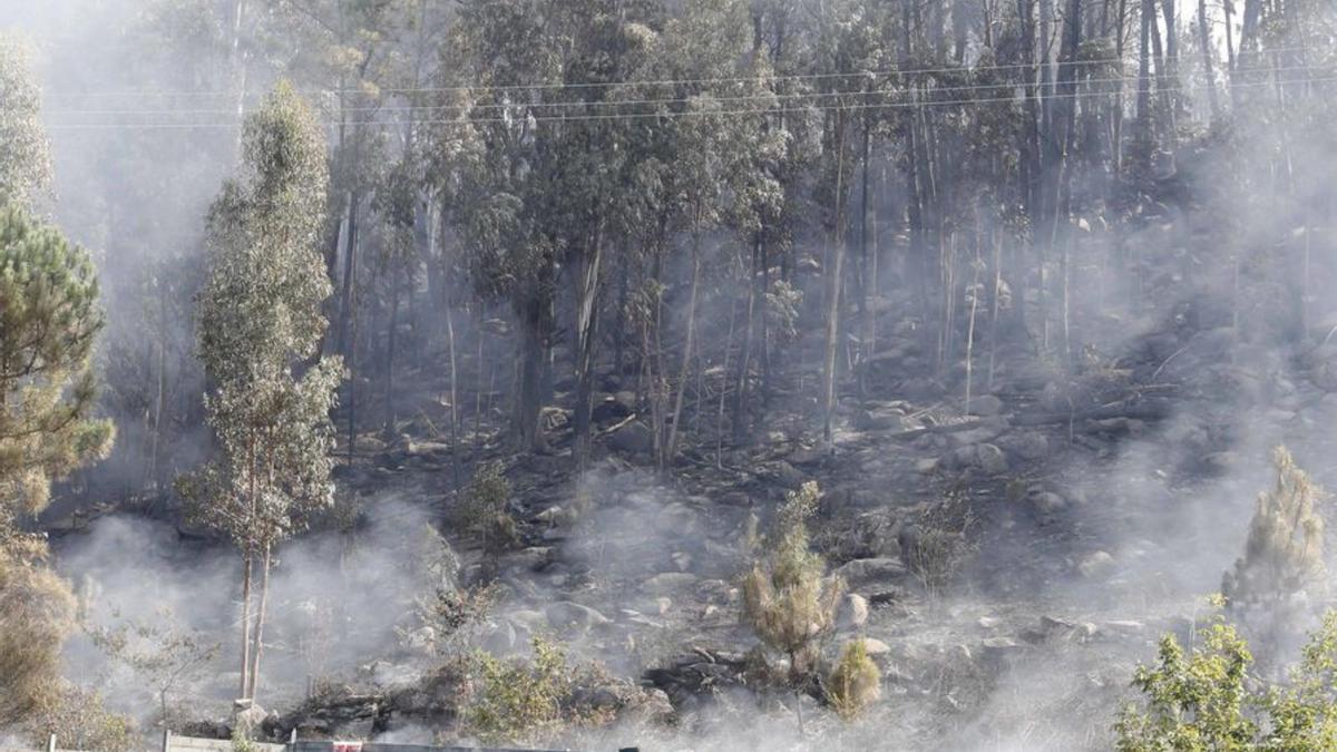 La tierra quemada en Meira echaba ayer aún humo y se realizaron labores para enfriarla.   | // PABLO H.