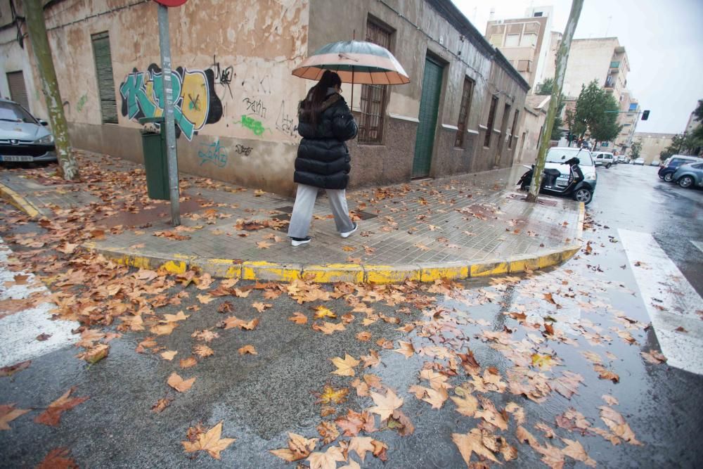 El viento provoca la caída de carteles y árboles en Elche