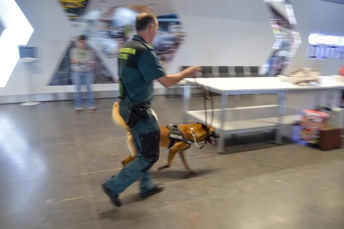 REPORTAJE UNIDAD CANINA AEROPUETO DE GRAN CANARIA