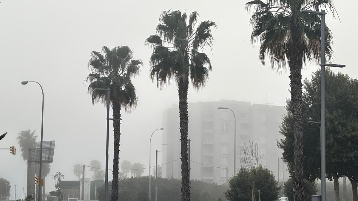 La niebla cubre Mallorca y obliga a activar la alerta amarilla