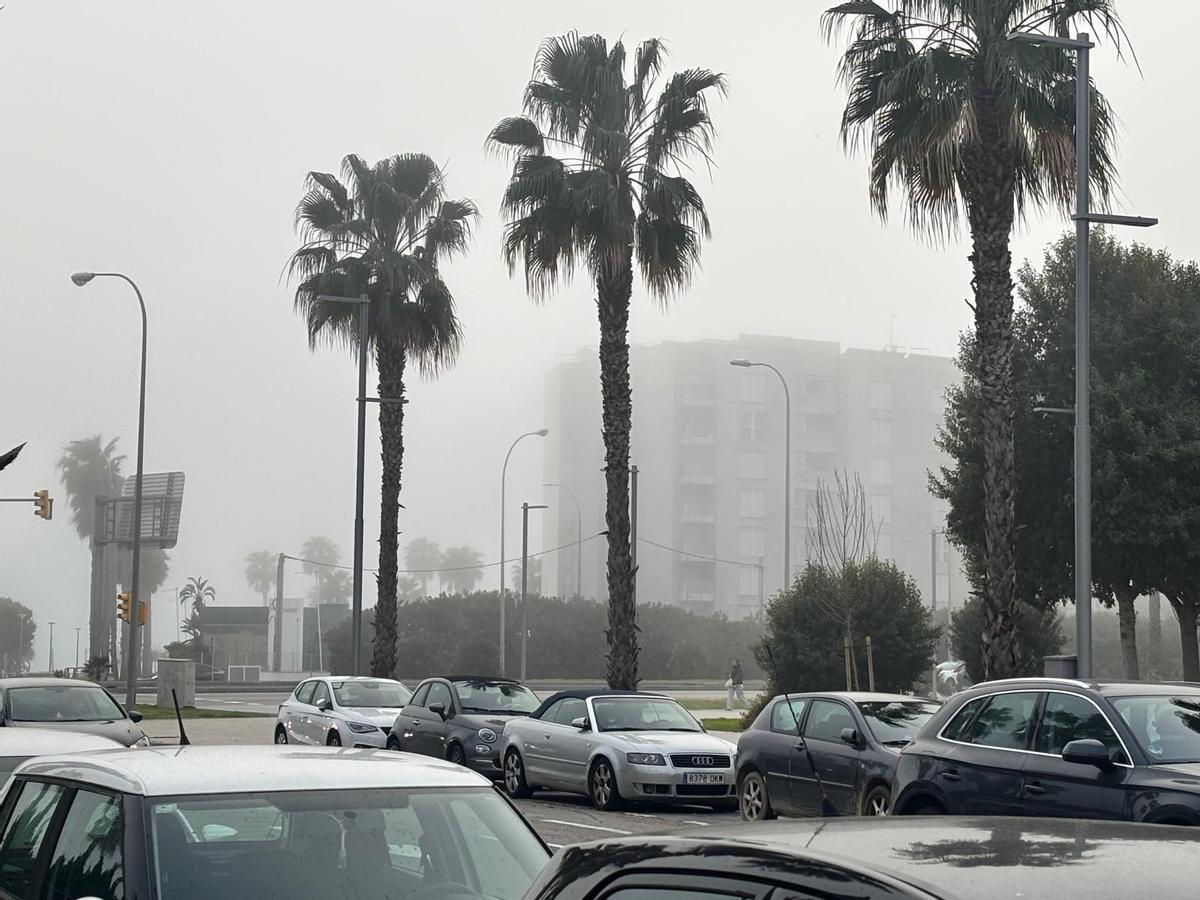 Las imágenes de la niebla en Palma