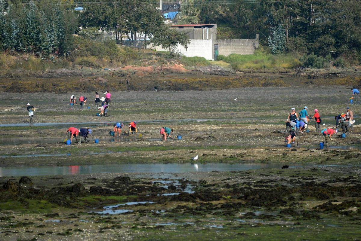Mariscadoras en el Saco de Fefiñáns que ahora solo pueden usar como lugar de cría.