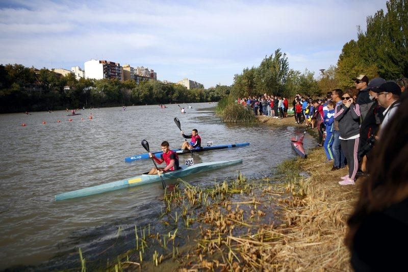 Campeonato de regatas en el Ebro