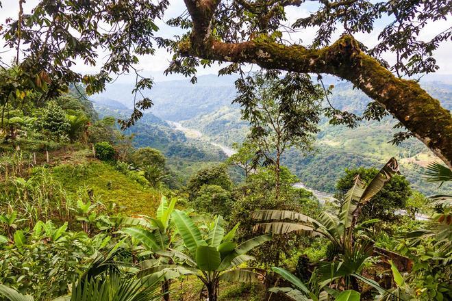 El Chocó Andino, la séptima Reserva de la Biosfera de Ecuador