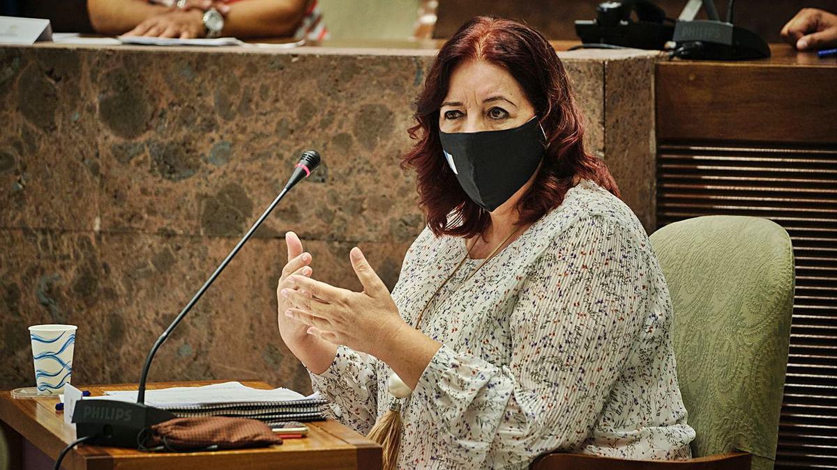 La consejera Manuela Armas en una comparecencia anterior en el Parlamento de Canarias. | | ANDRÉS GUTIÉRREZ