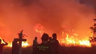 Más de 1.000 hectáreas de la Sierra de la Culebra sucumben a un segundo incendio un mes después