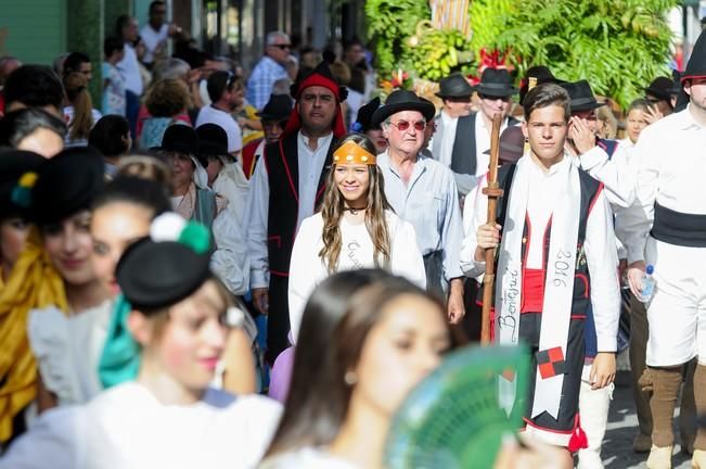 Romería de Santiago de Gáldar 2016