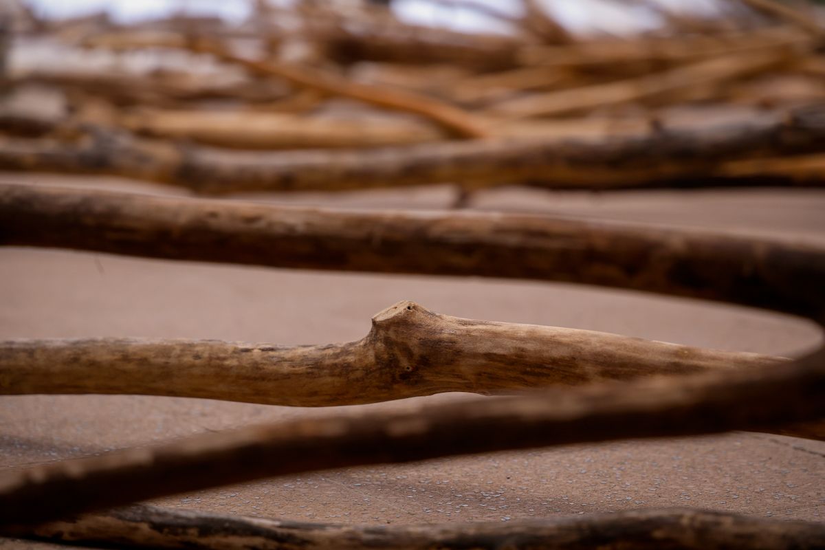 Comienza el montaje de las instalaciones de Flora 2025