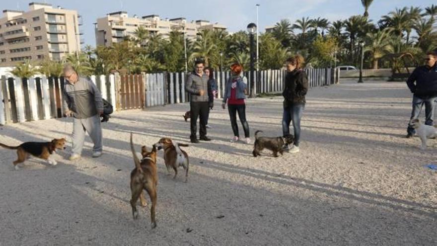 Integrantes y simpatizantes de la asociación Peludines, ayer en el gos park de Altabix.