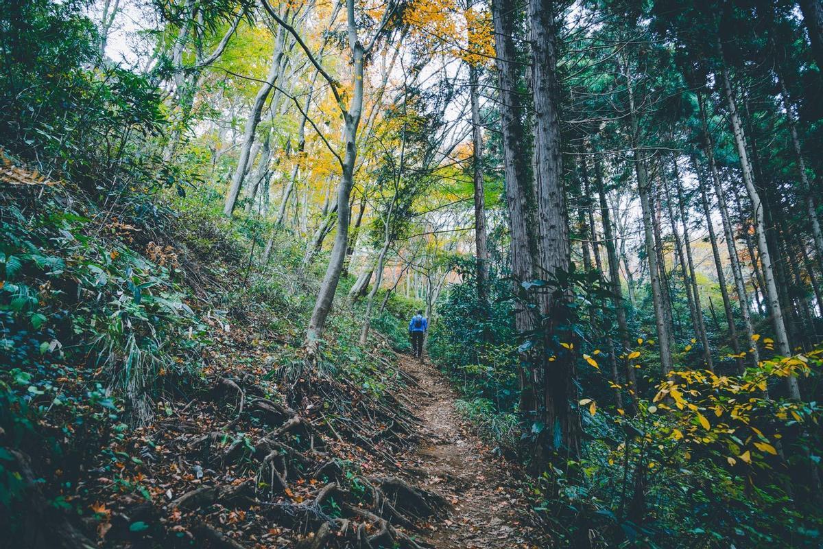 Monte Takao, Tokio