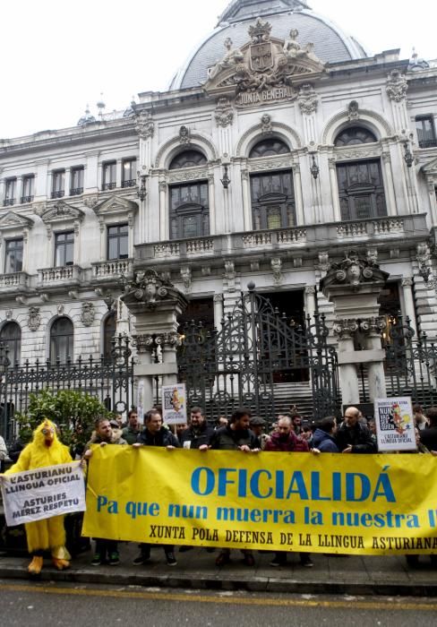 Protesta ante la junta por la oficilidad del asturiano