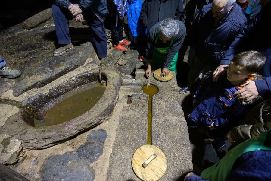 Elaboración de aceite en el molino de Latedo