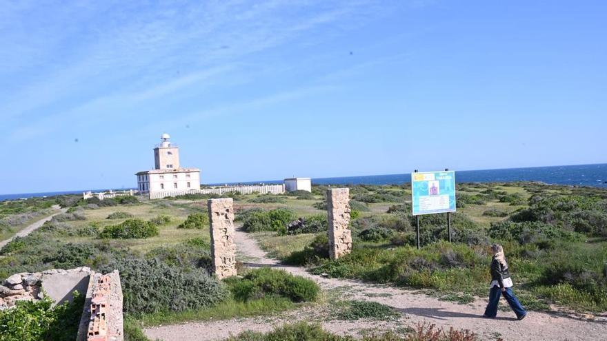 Explosión de verde en Tabarca: la primavera sorprende a vecinos y turistas