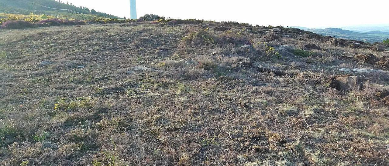 Vista da pequena mámoa de Outeiro Grande no monte veciñal de Abonxo (Val do Carrio).; ao fondo, aeroxenerador nº 3. |  // FOTOS: A.P.