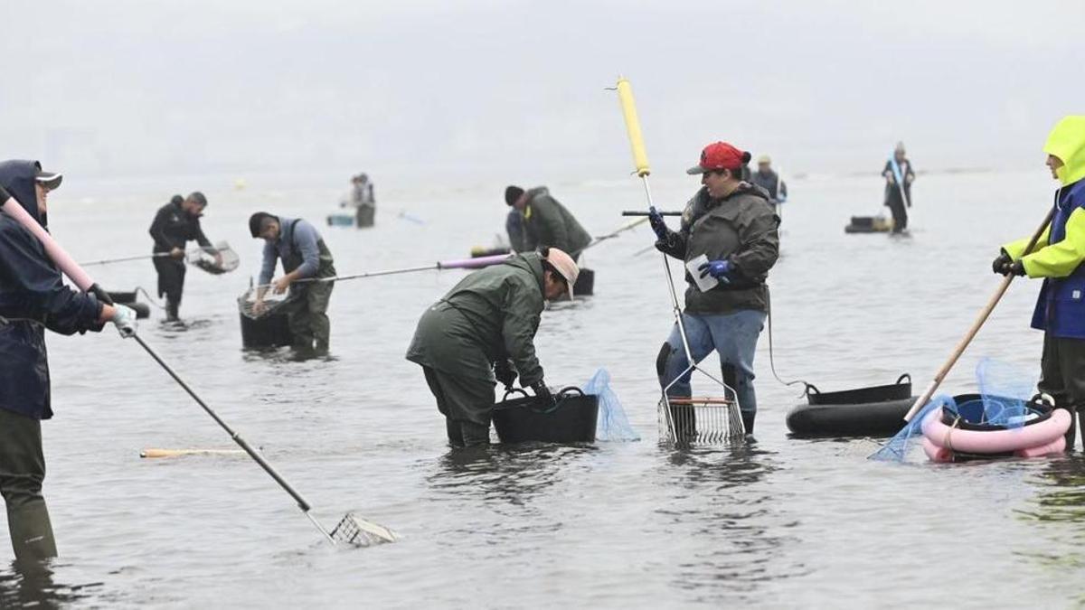 Mariscadoras en la ría de Pontevedra