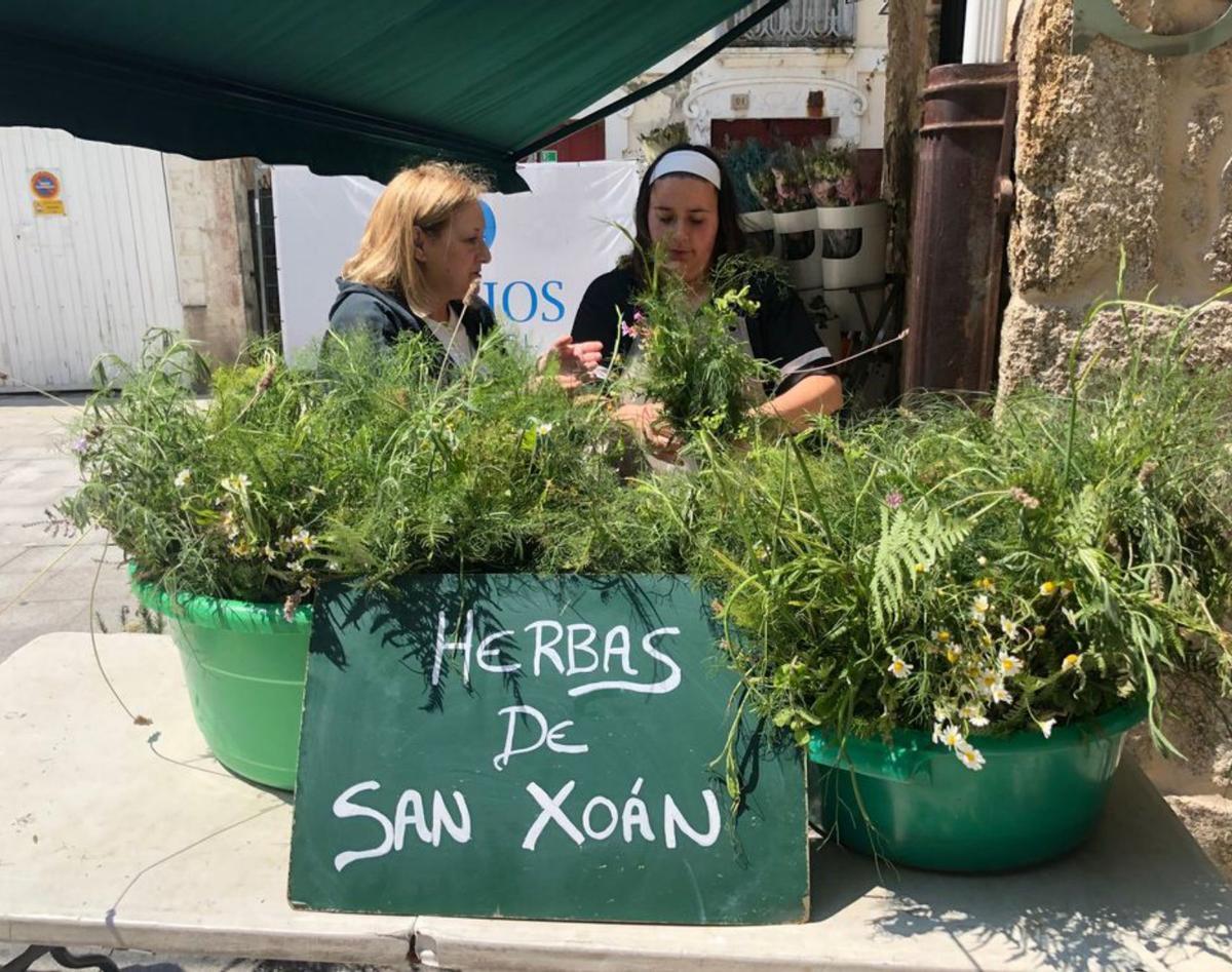 O manoxo das 7 herbas de San Xoán vendíase en Ribeira a 3 € / s. souto