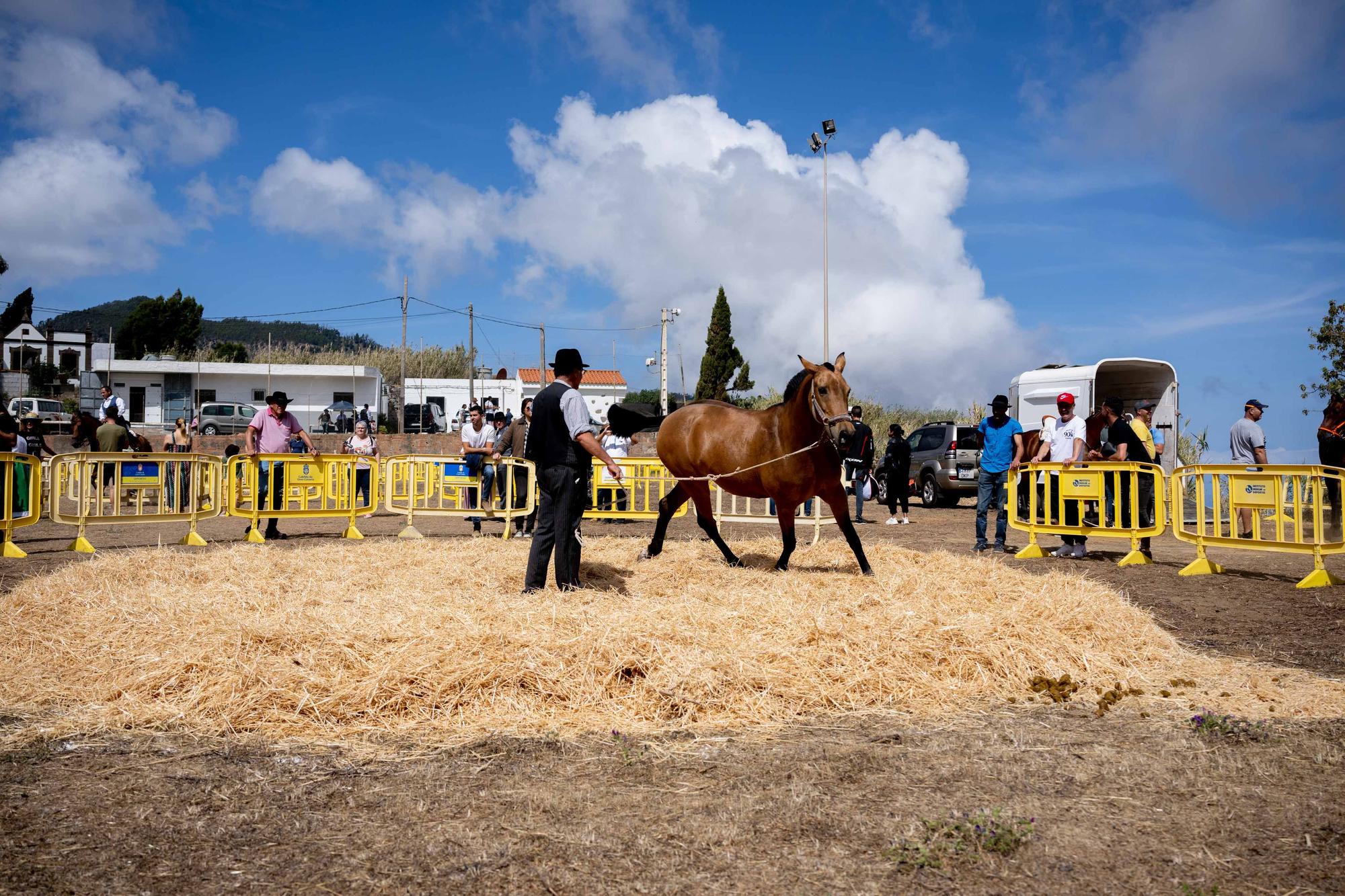 Fiesta de la Lana de Caideros