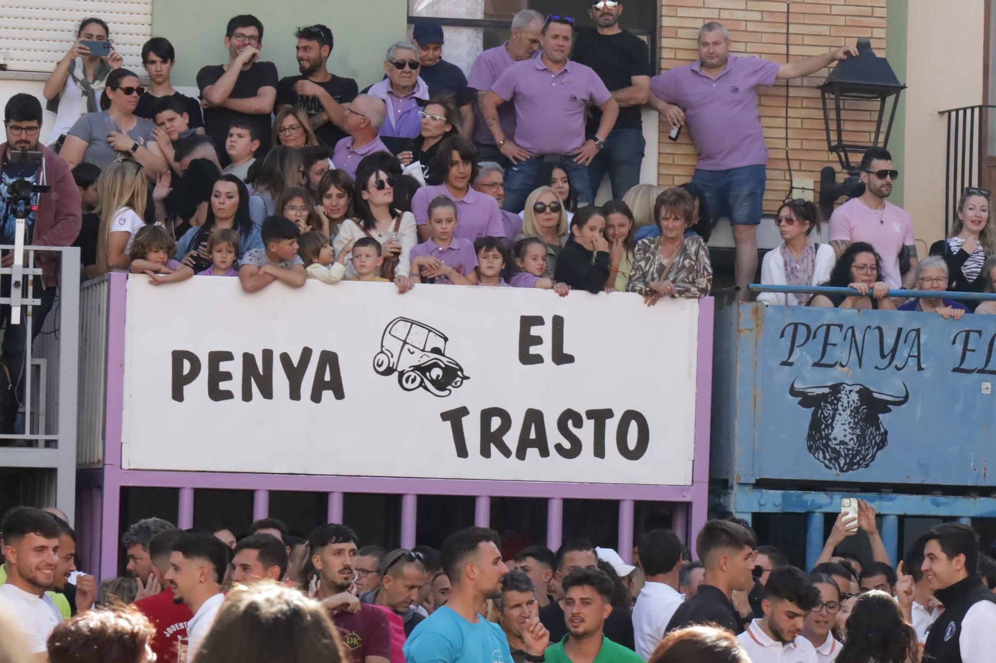 MACROGALERÍA DE FOTOS: Búscate en el encierro y los primeros 'bous' de las fiestas de Almassora