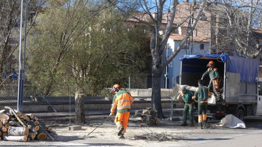 Ripoll reforma el carrer Sant Francesc i el seu arbrat