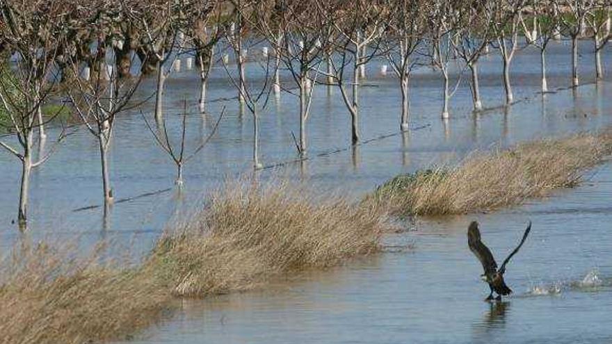 El Gobierno desentierra la posibilidad del trasvase del Ebro a 90 días de las elecciones