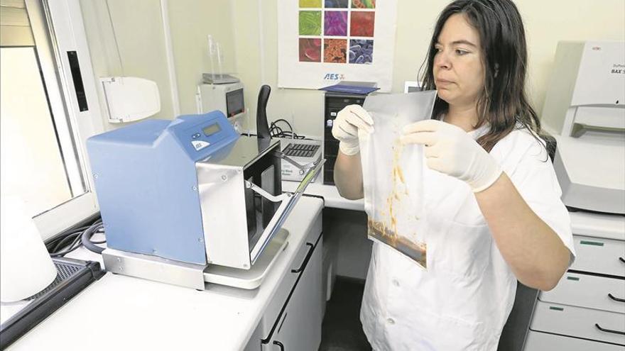 Ocho positivos en listeriosis en 2018, ninguno en alimentos