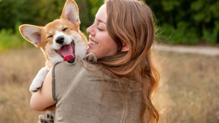 La cuatro señales inequívocas que demuestran que nuestro perro nos quiere de verdad