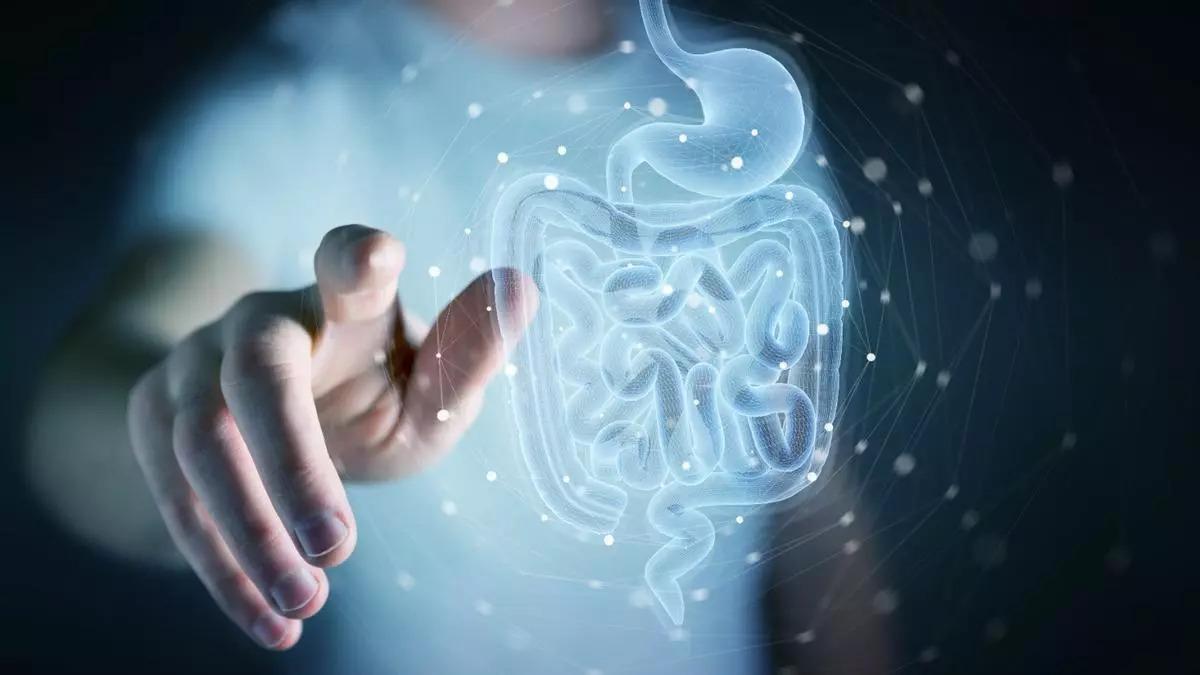 Representació artística de la microbiota intestinal.
