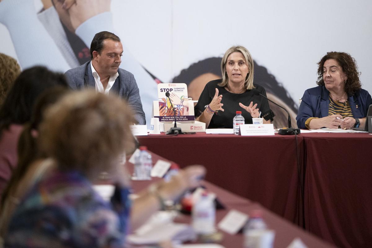 CONSELL PROVINCIAL DE LA DONA. DIPUTACION DE CASTELLON