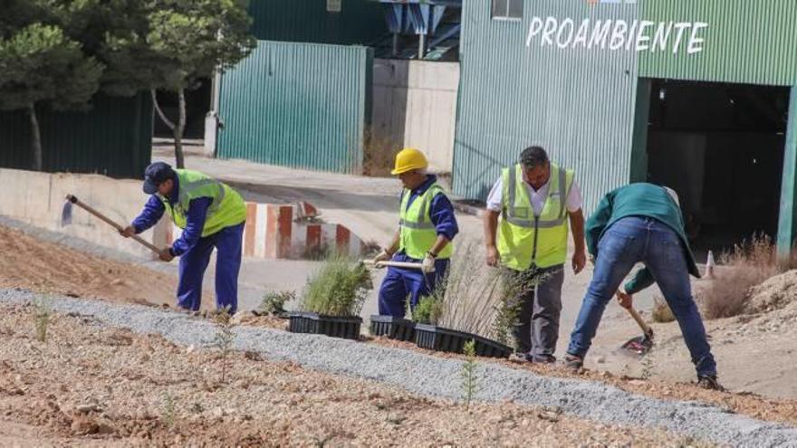 Imagen de las obras de restitución ambiental que la Generalitat está abordando en el vertedero de La Murada.