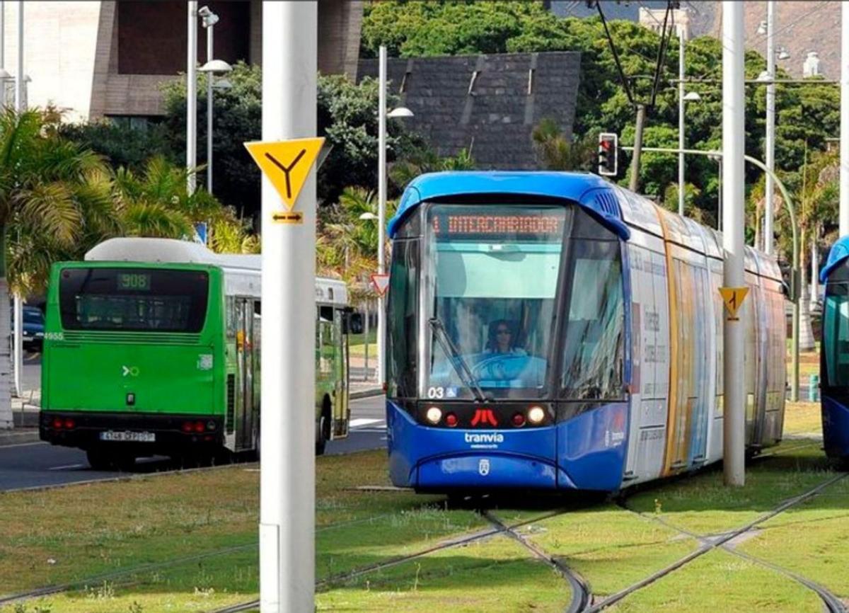 Guagua y tranvía en Santa Cruz de Tenerife. | EL DÍA