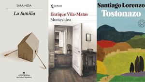 Deu llibres de literatura en castellà recomanats per a aquest Nadal