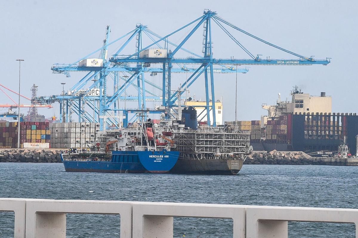Barco 'Zein I', fondeado cargado de vacas en el Puerto de Las Palmas Barco 'Zein I', fondeado cargado de vacas en el Puerto de Las Palmas