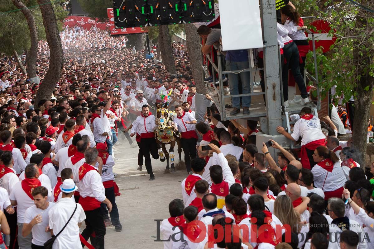 Así ha sido la carrera de los Caballos del Vino en Caravaca