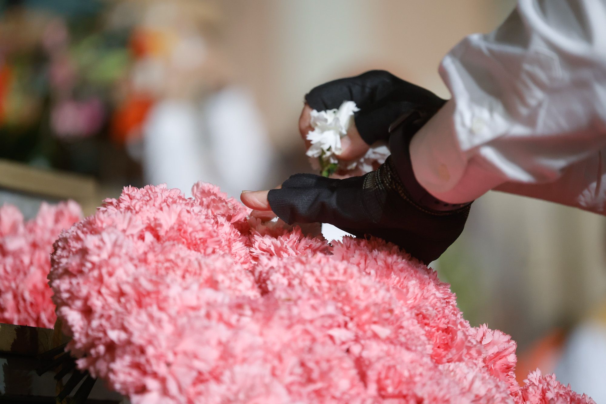 Todas las fotos de la Ofrenda del 17 de marzo por la calle de la Paz de 21:00 a 22:00 horas