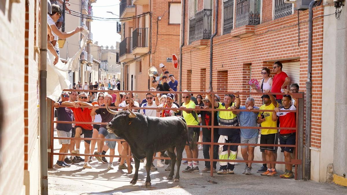 Encierro mixto de Villalpando