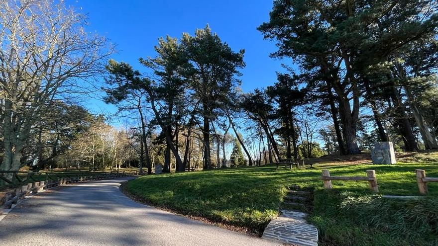 Plantaciones de eucaliptos y más pistas en el cordal de Peón: así impulsa Villaviciosa su sector forestal