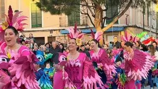 El Carnaval vence el mal tiempo: los pueblos de Mallorca celebran sus rues