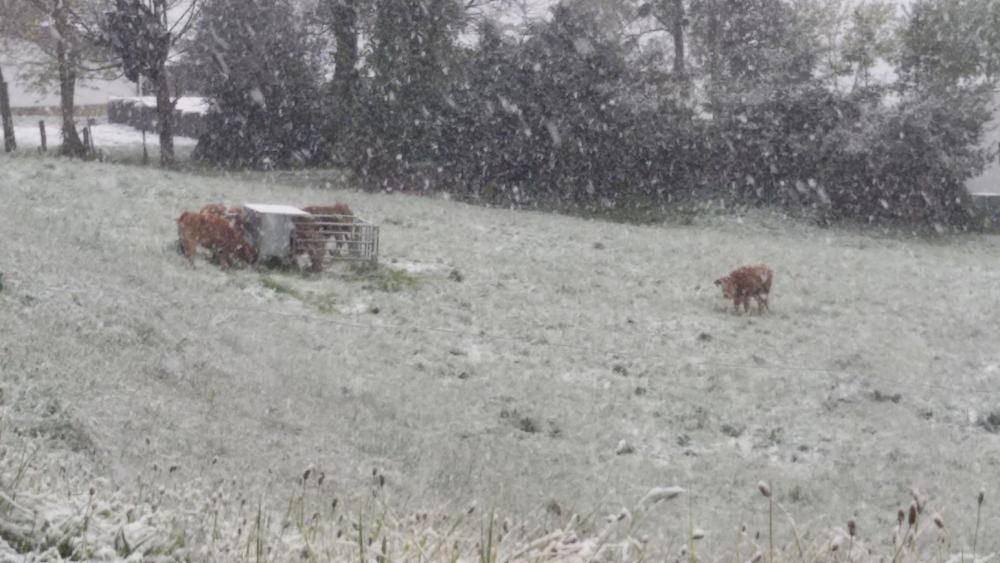 Nieve en Asturias