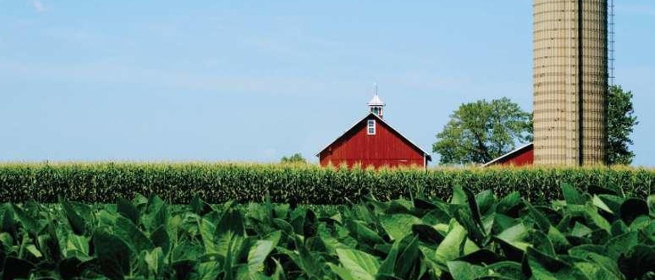 Plantación de maíz en Illinois.