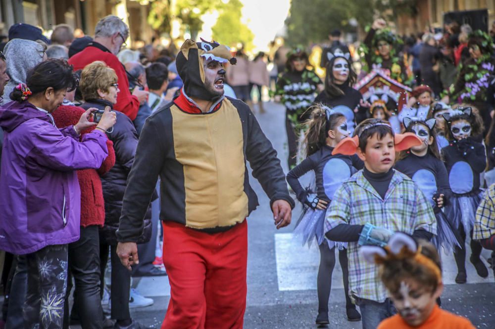 Desfile concurso del Carnaval de Torrevieja